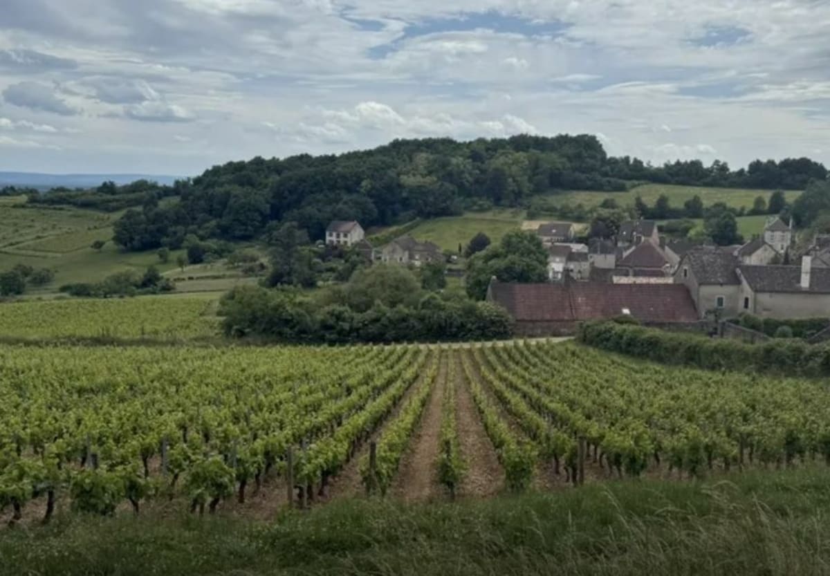 Balade autour de la Chaume - Jambles