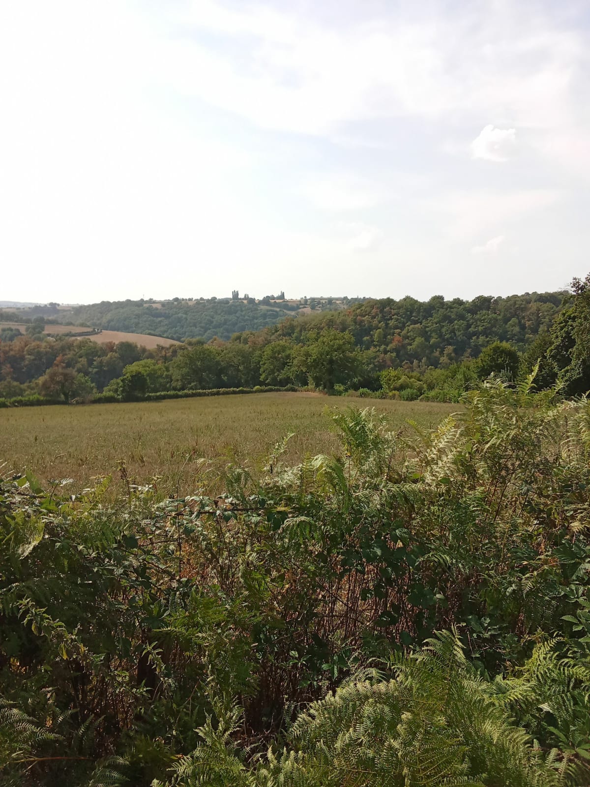 Sainte-Juliette-sur-Viaur e sa balade au bord de l'eau - Cassagnes-Bégonhès