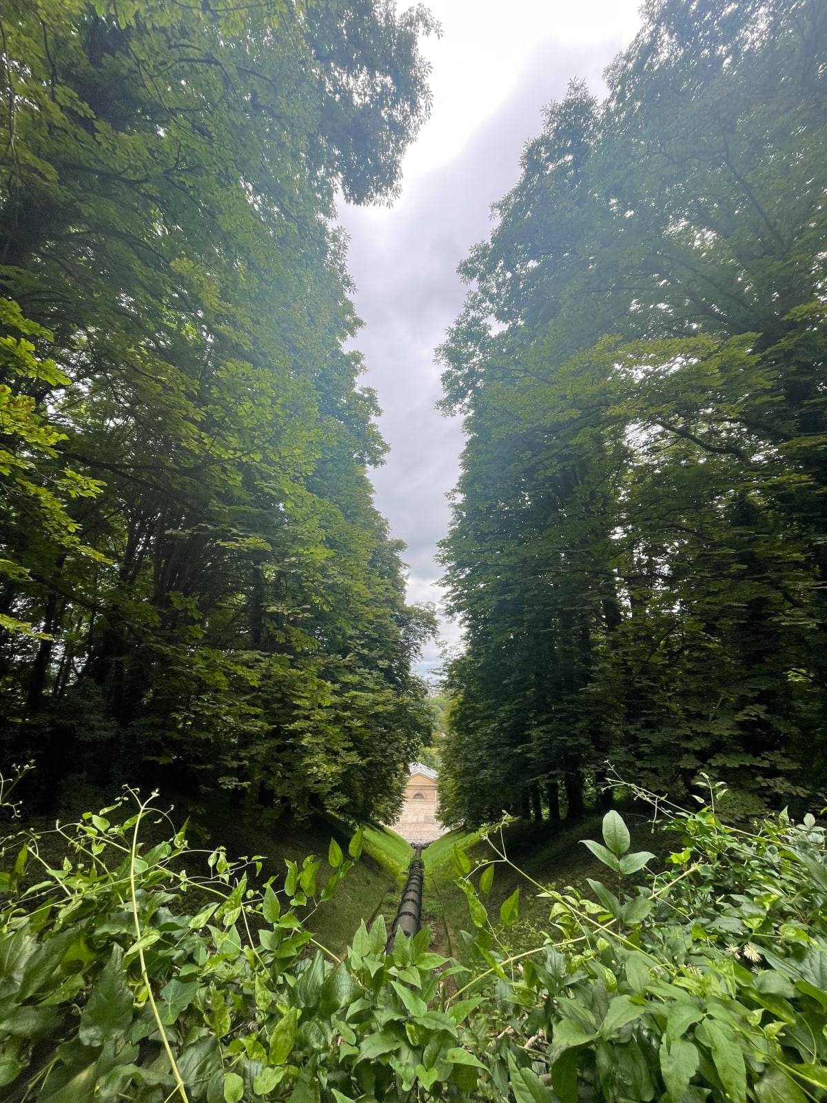 Balade sportive à Rueil-Malmaison - Rueil-Malmaison