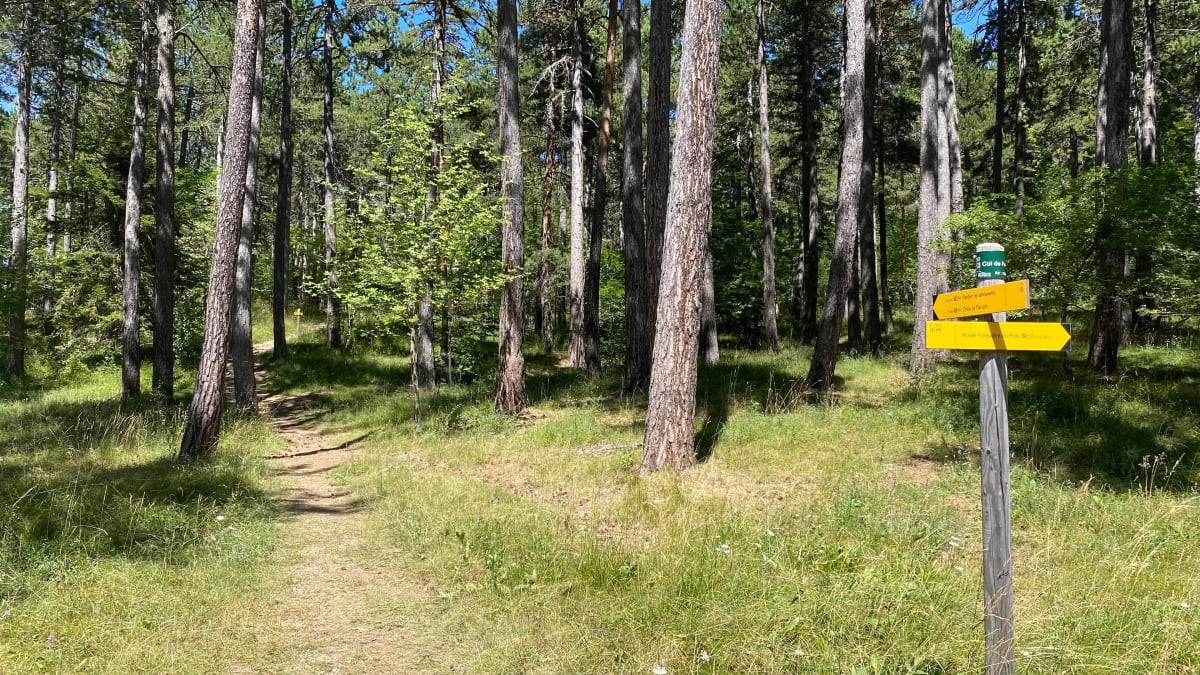 Du col de Fontbelle au sommet de Geruen - Le Castellard-Melan