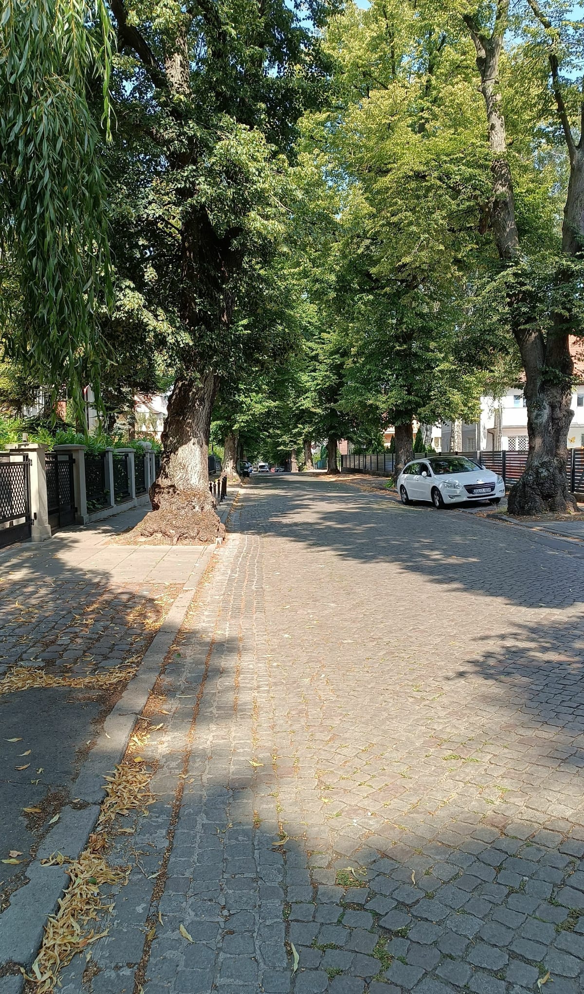 Spacer 17km - Szczecin
