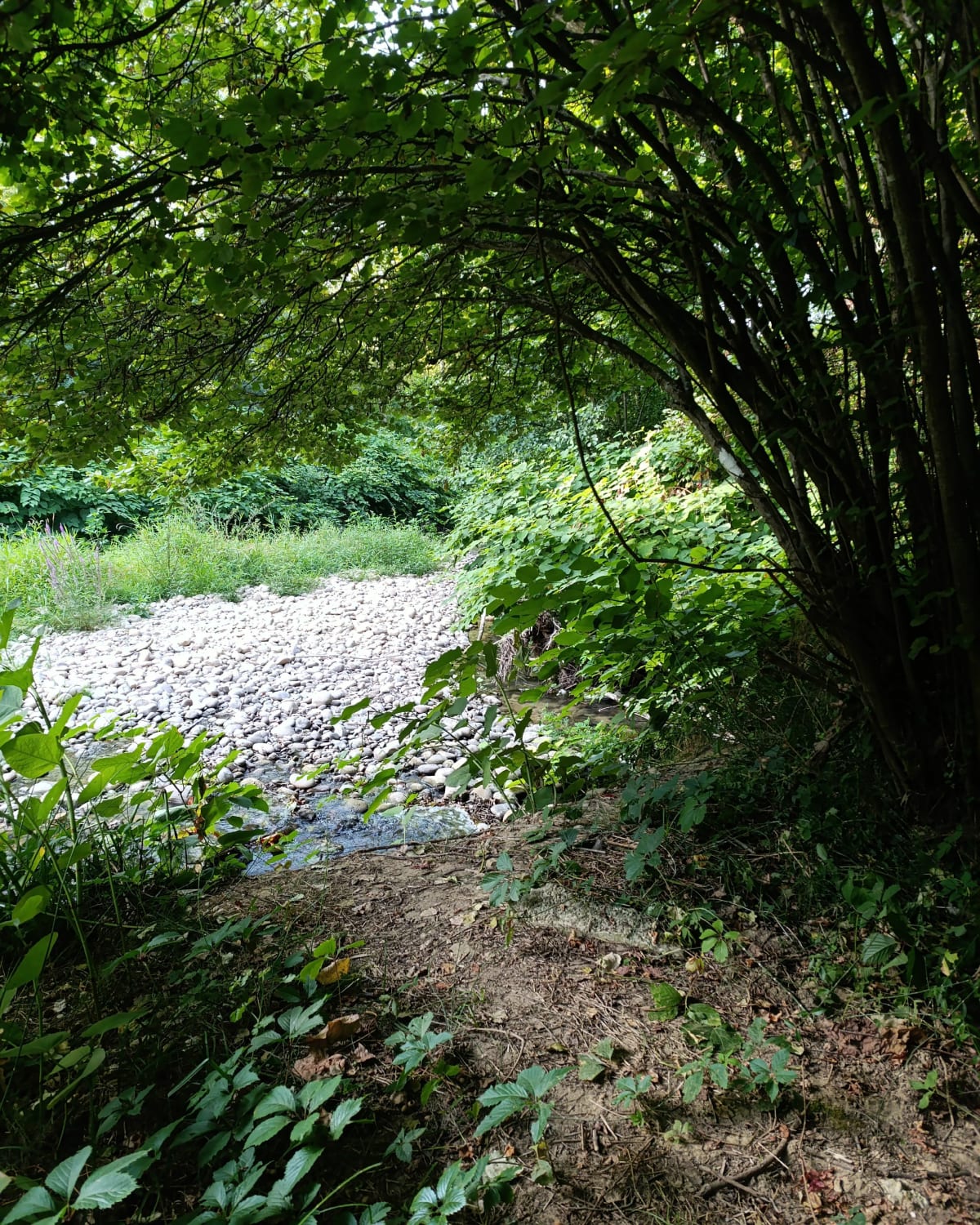 La Motte-de-Galaure à Mureils - Saint-Jean-de-Galaure