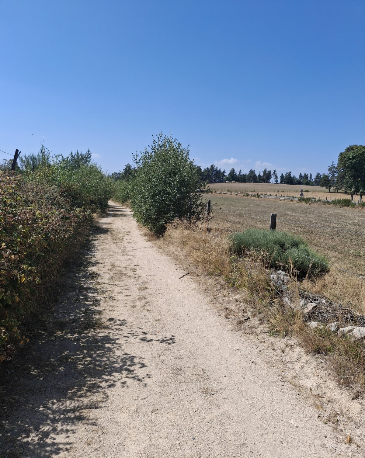 Randonnée du Lac du Moulinet - Peyre en Aubrac