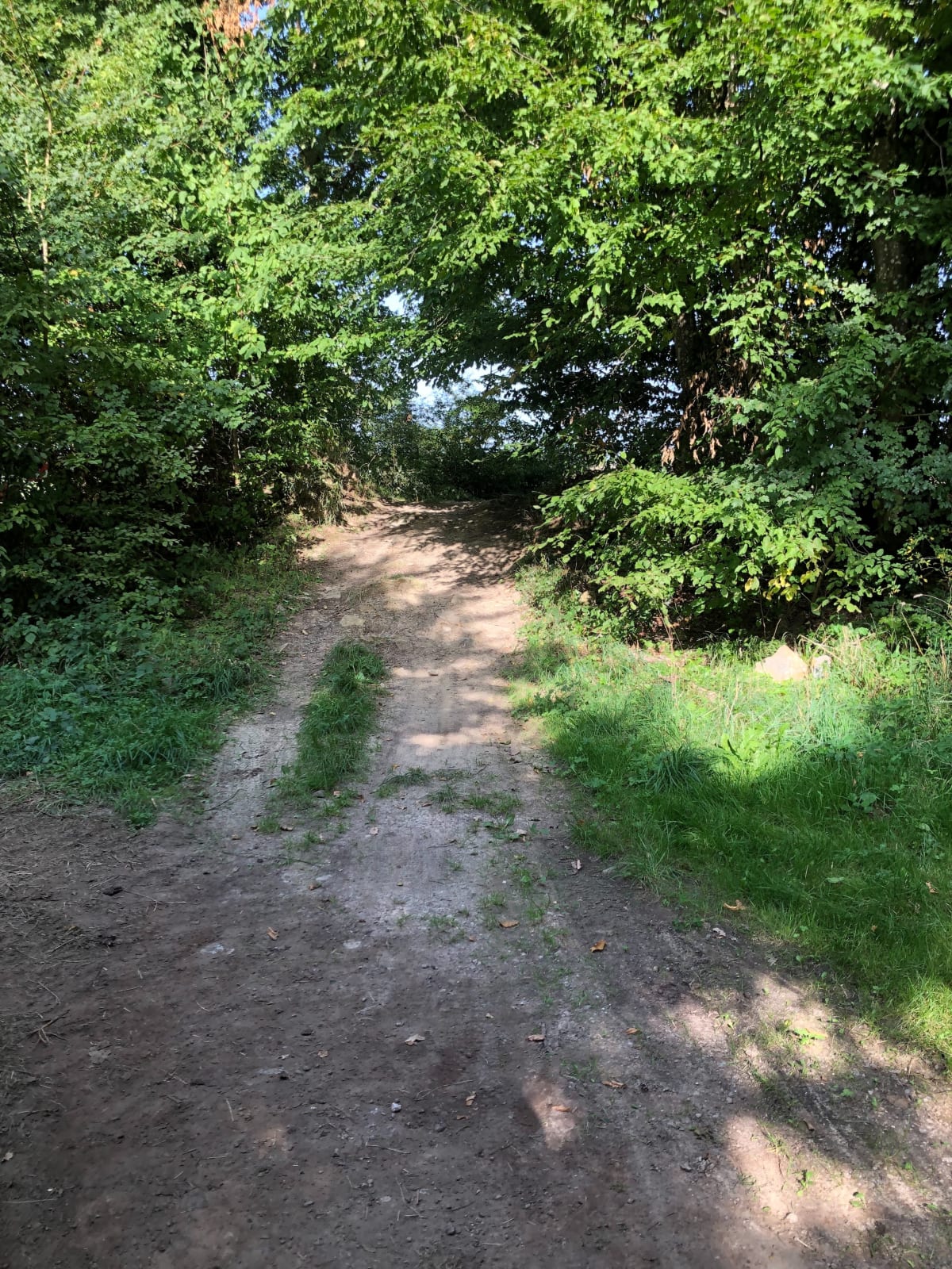 Belle randonnée forestière Biding - Cappel - Biding