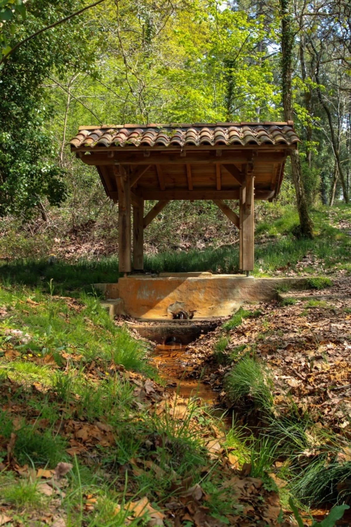 Camping de Cap de l Homy et Source de Yons - Lit-et-Mixe
