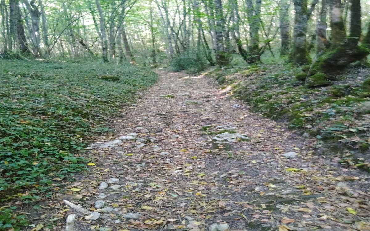 Rando variée entre Meobecq et Nuret le Ferron - Méobecq