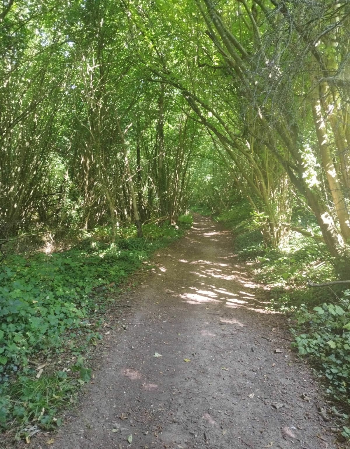 Neufvy sur Aronde/Moyenneville/Wacquemoulin - Neufvy-sur-Aronde