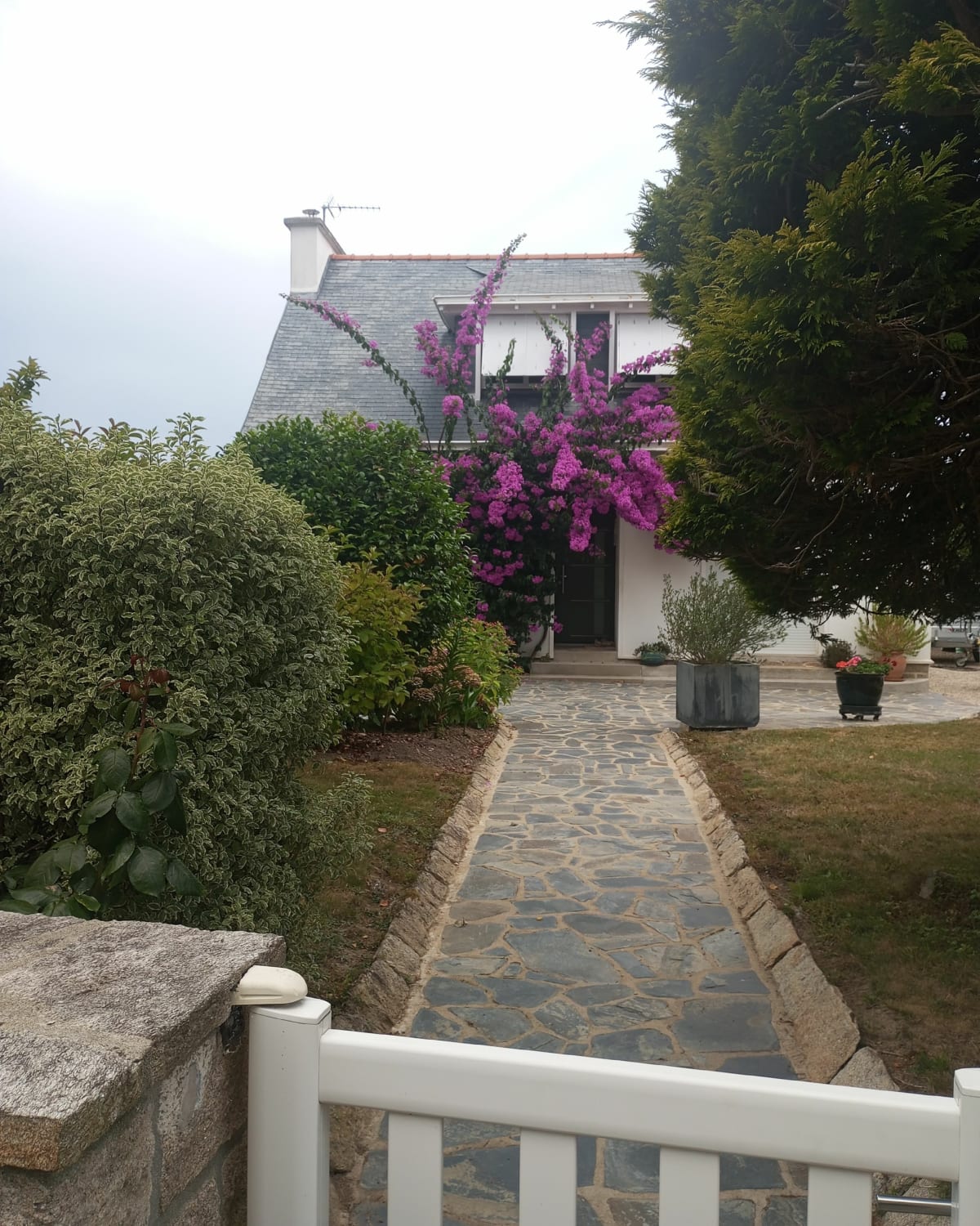 Pointe de Mousterlin - Johann