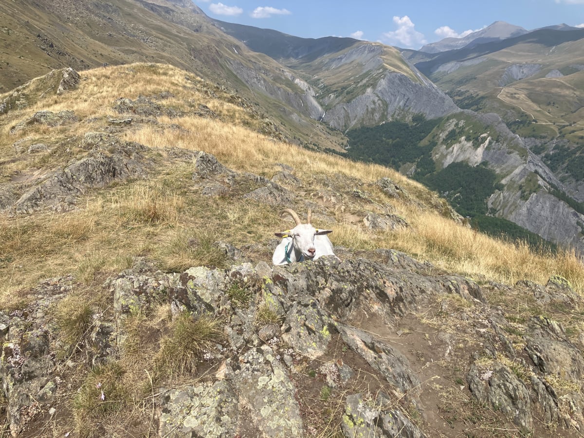 Le clos Chevaleret - Clavans-en-Haut-Oisans