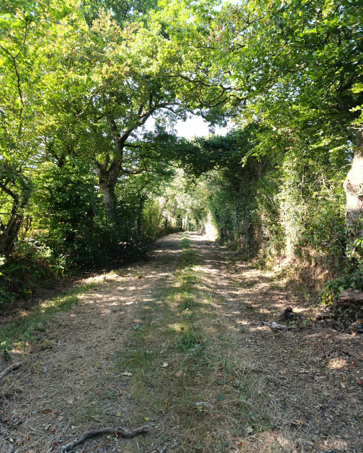 Petits chemins autour de Saussemesnil - Saussemesnil