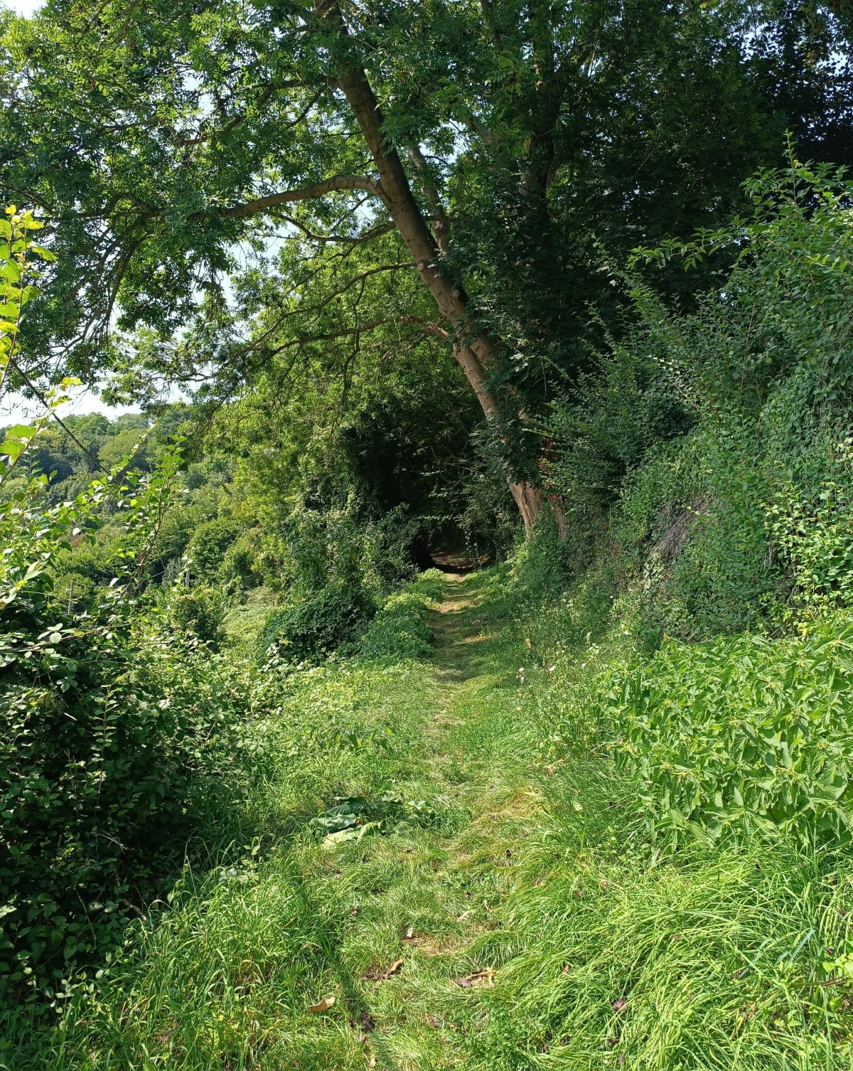 Sur les hauteurs de Duclair - Duclair