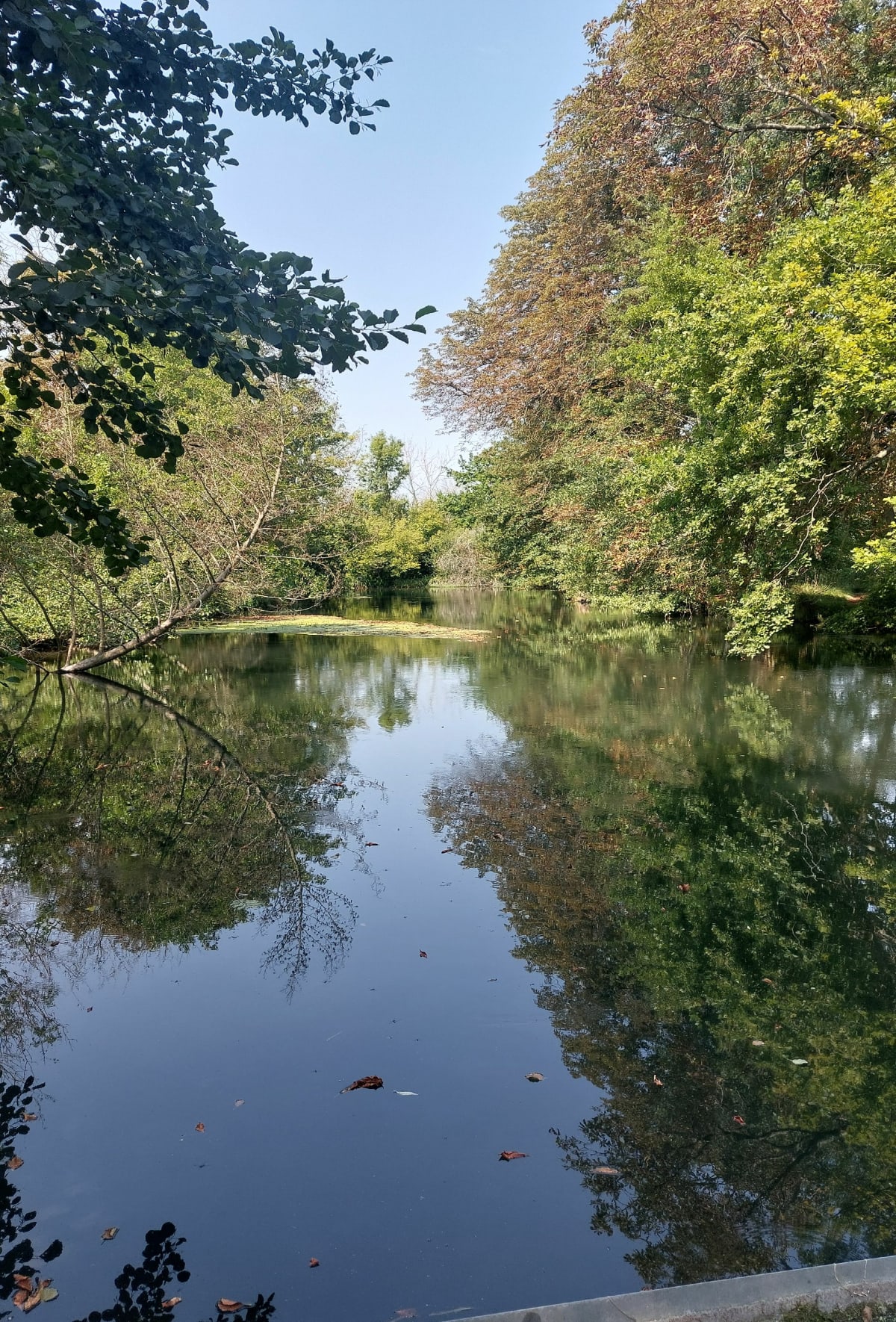 Roches gravées version courte à Ballancourt-sur-Essonne - Itteville