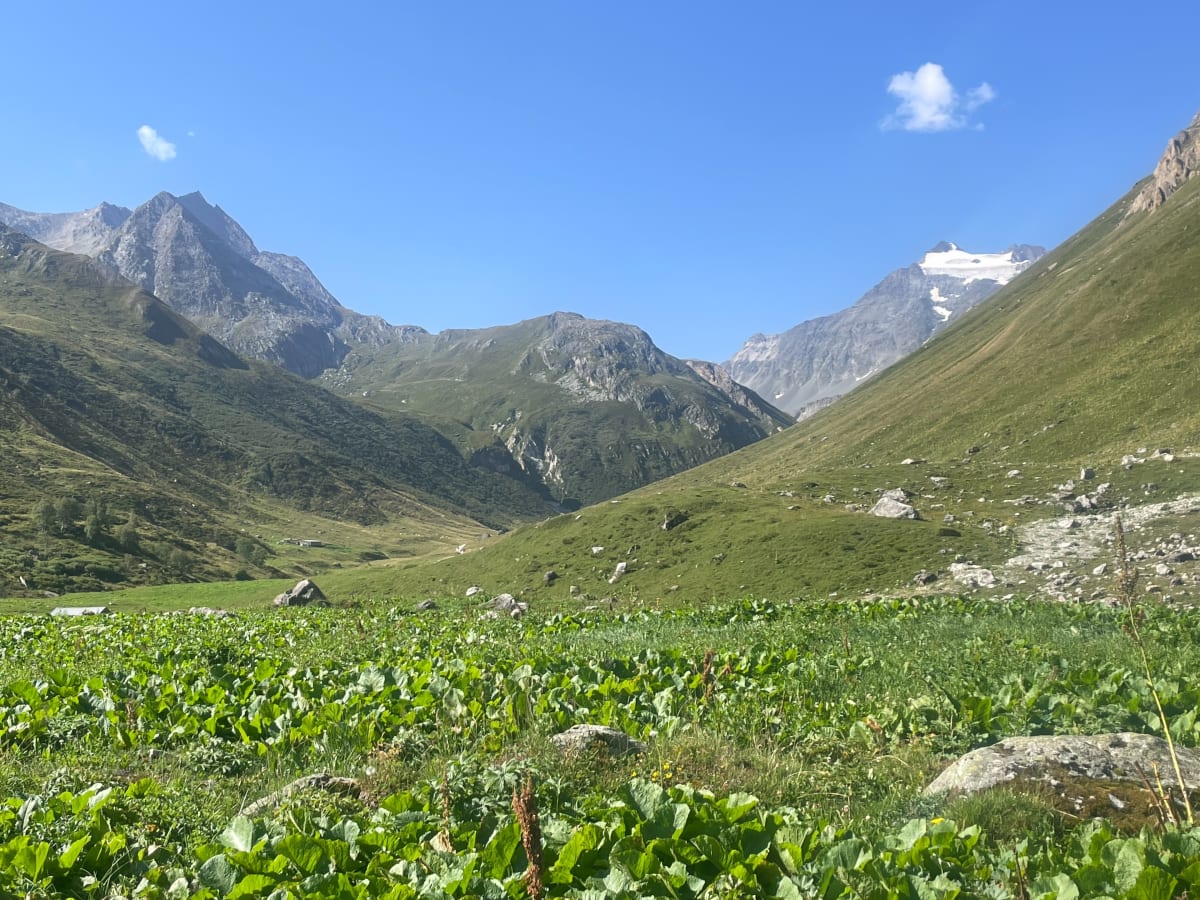 Alpage du Ritord en boucle - Pralognan-la-Vanoise