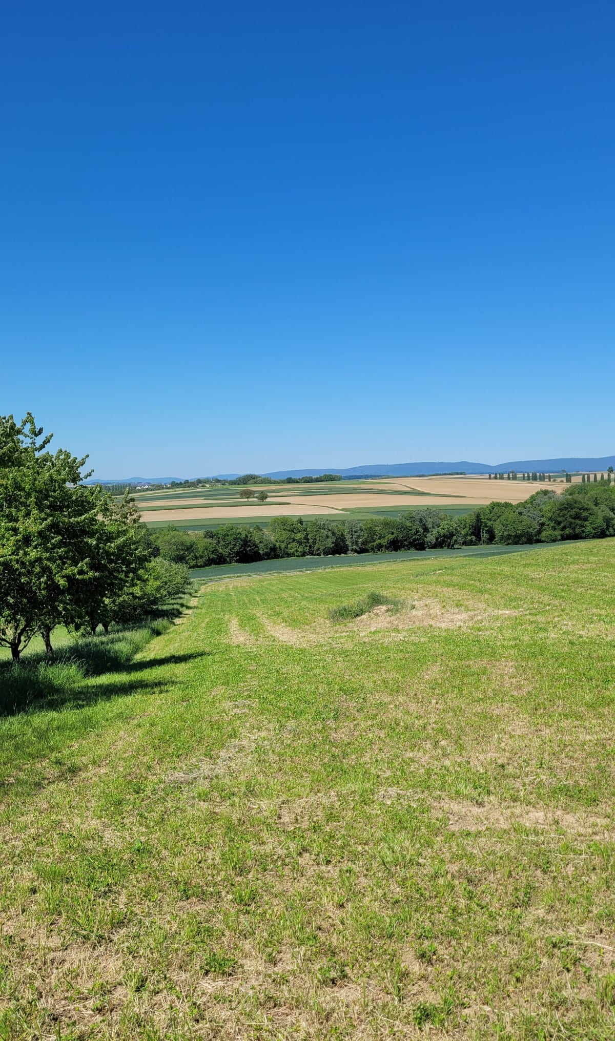 Kauffenheim - Niederlauterbach - Kauffenheim