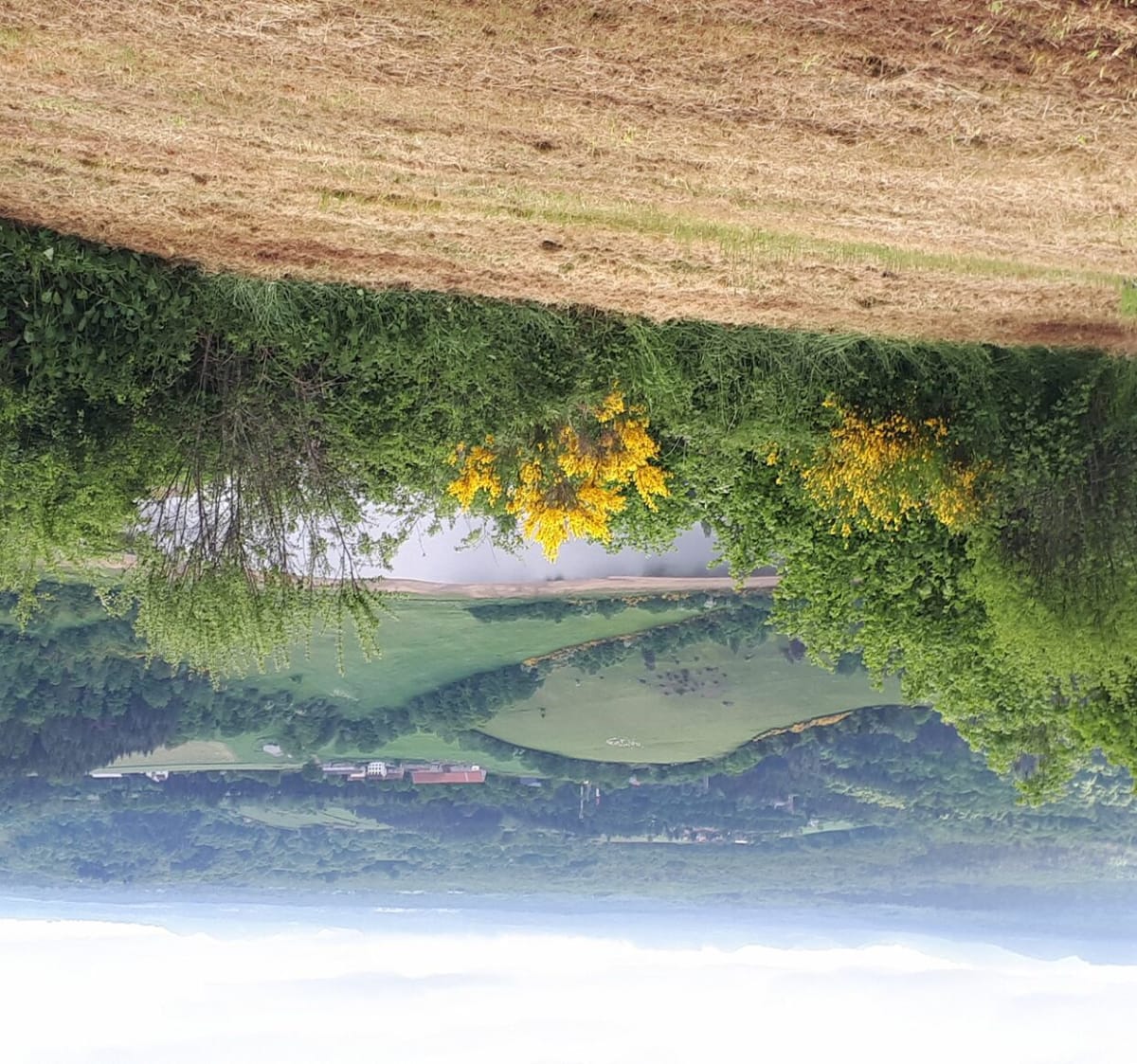 Bromont La motte, un des circuits du Puy de Mouffle - Brigitte