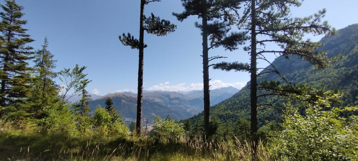 Le ruisseau des pavés à Cordeac - Châtel-en-Trièves