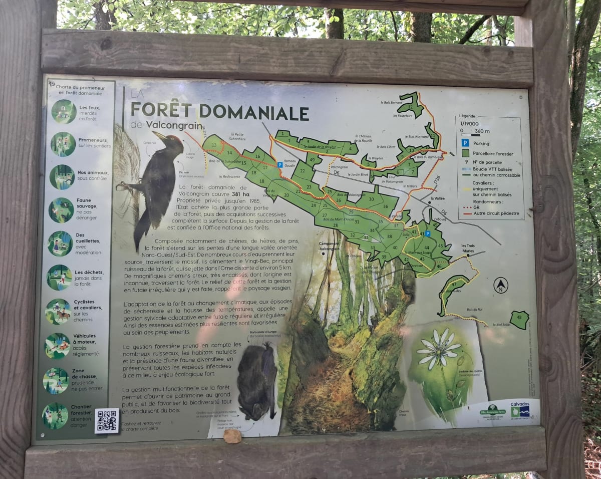 Petite boucle dans la forêt de Valcongrain - Durfort