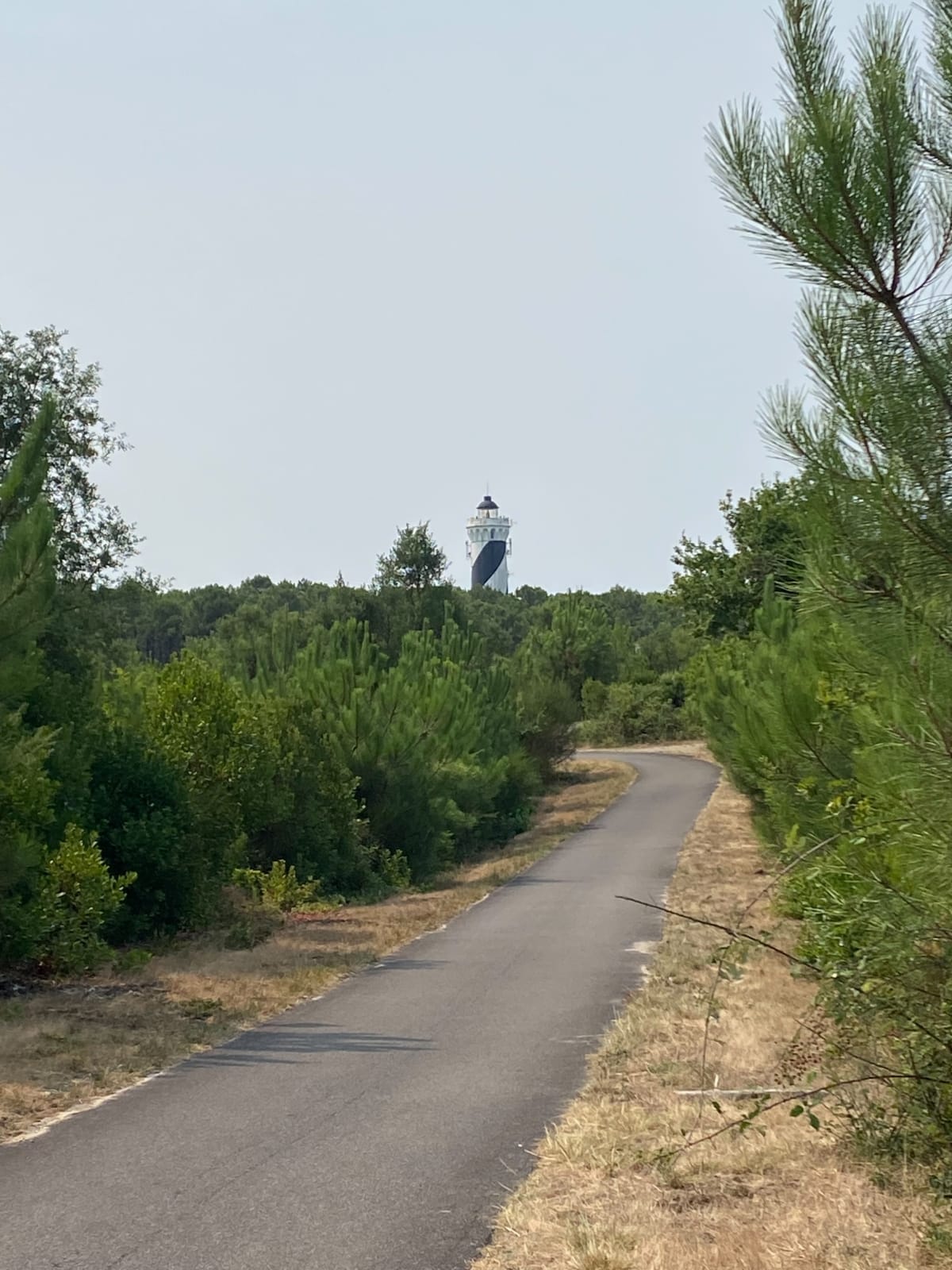 Vélo de route entre Lette et Mimizan - Saint-Julien-en-Born