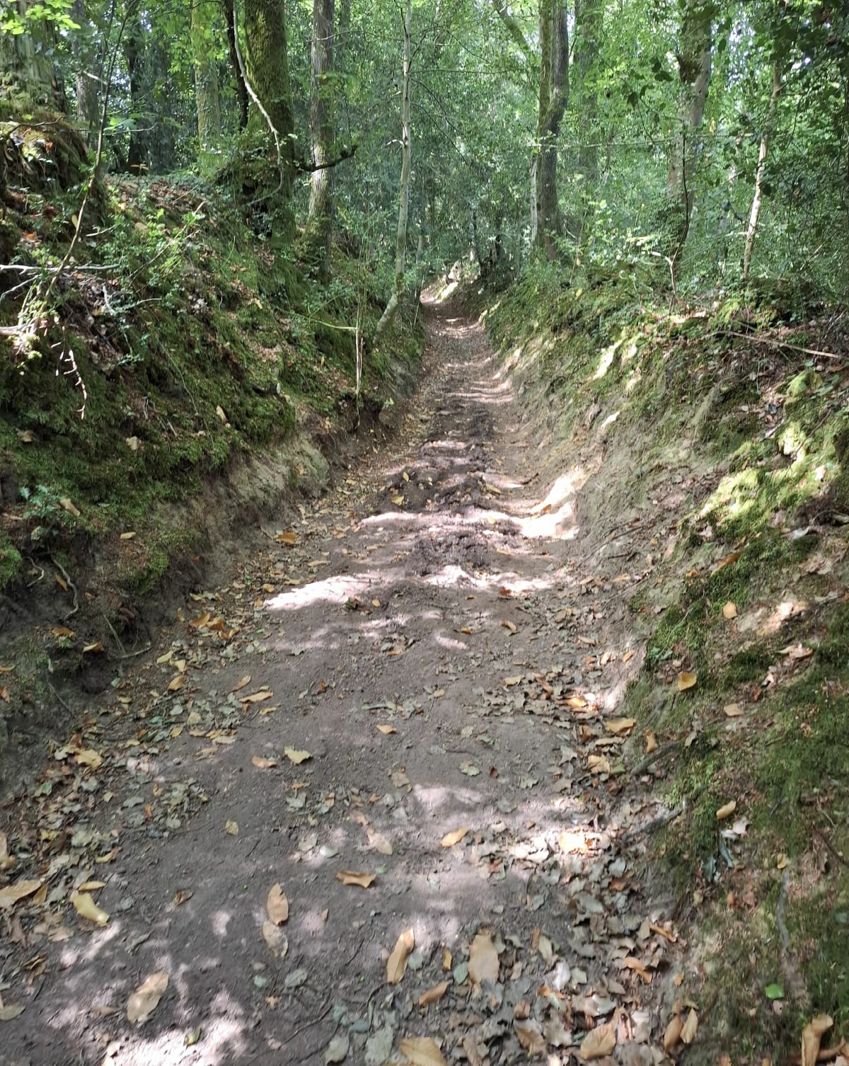 Sentier Facile à Lanrodec - Lanrodec