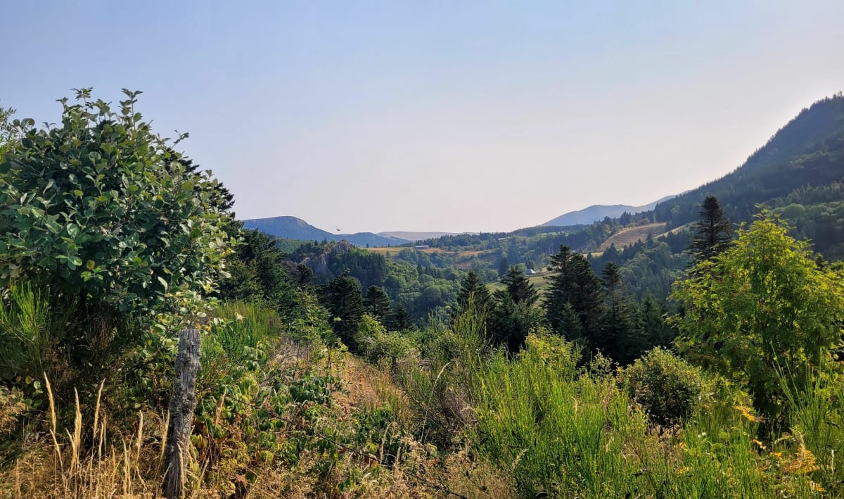Marche depuis la Stèle ' Tour d'Auvergne - La Tour-d'Auvergne