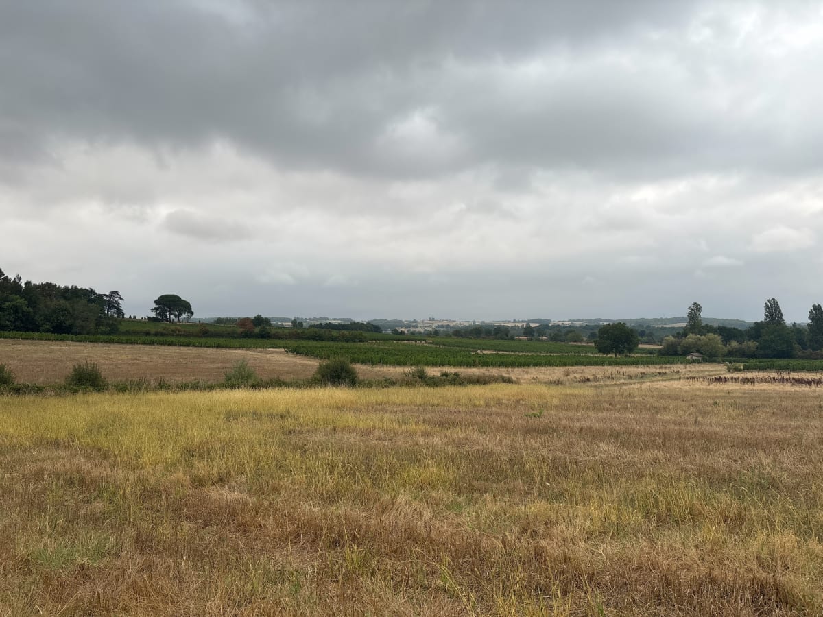 Entre vignes et bois autour de La Roquille - Pineuilh