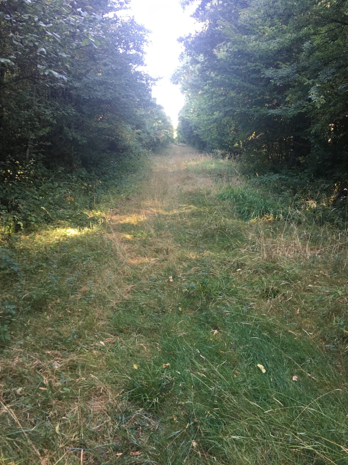Balade à Boncourt - Boncourt