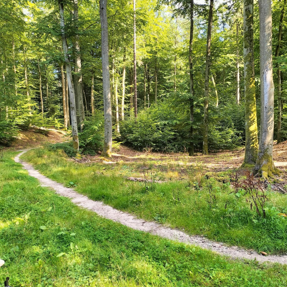 Wycieczka rowerowa przez Trójmiejski Park - Gdynia