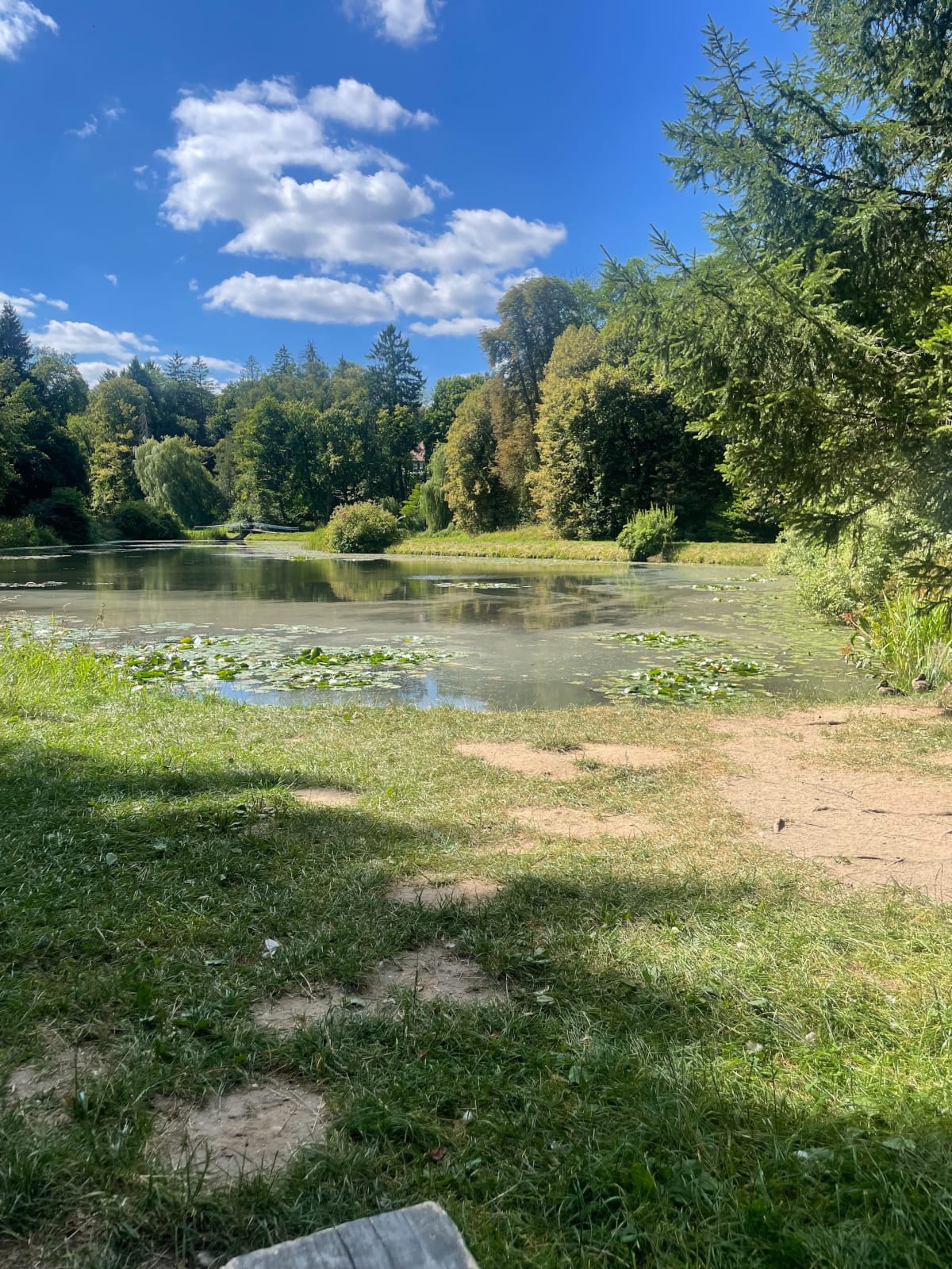 Połczyński park zdrojowy - Połczyn-Zdrój