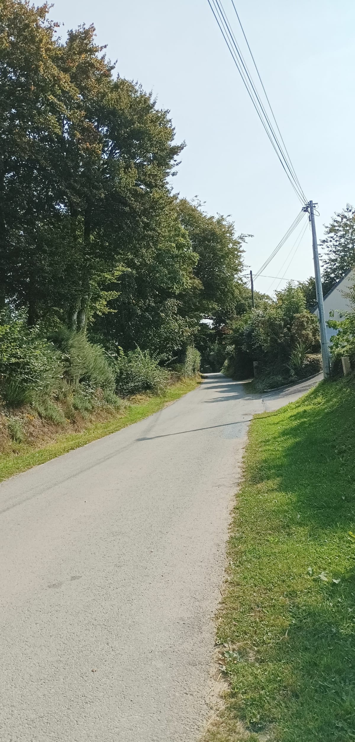Petit tour ludique autour de Bricquebosq - Saint-Christophe-du-Foc