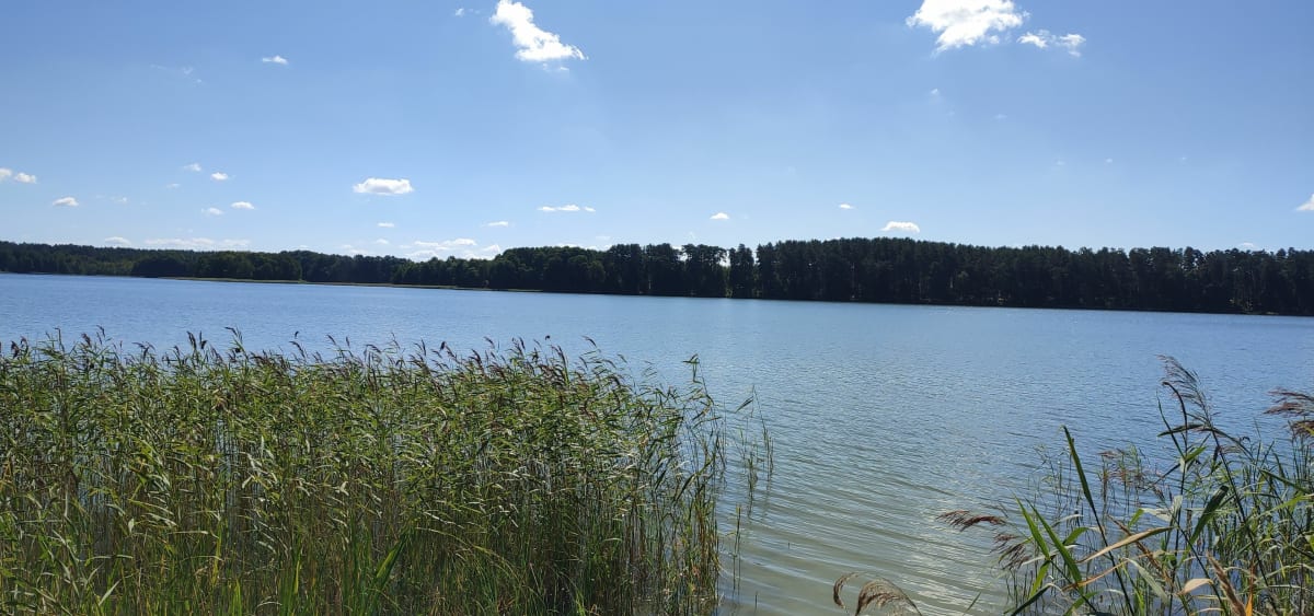 Wiartel Mały - Wiartel Mały