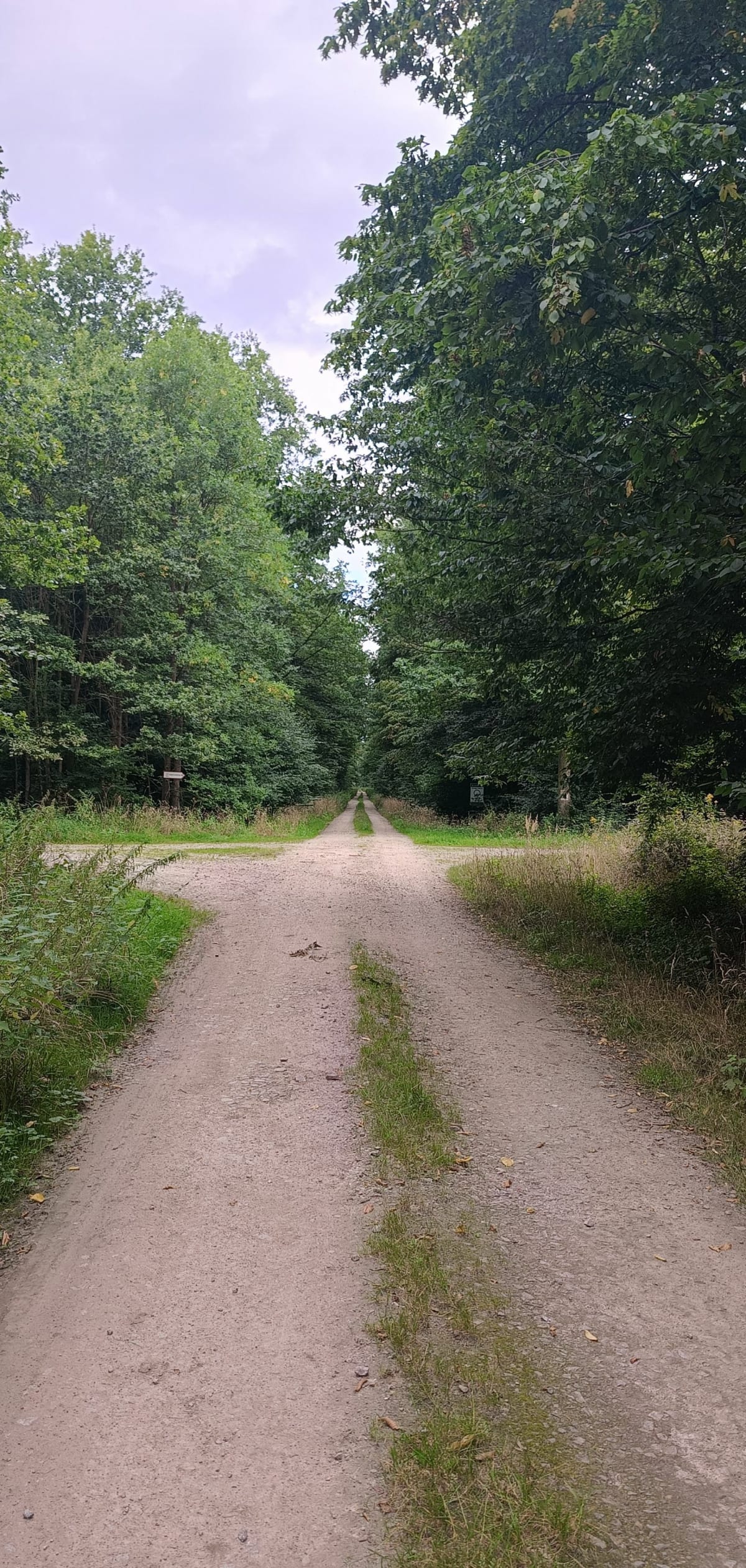 Leśna Woda - Brzeg