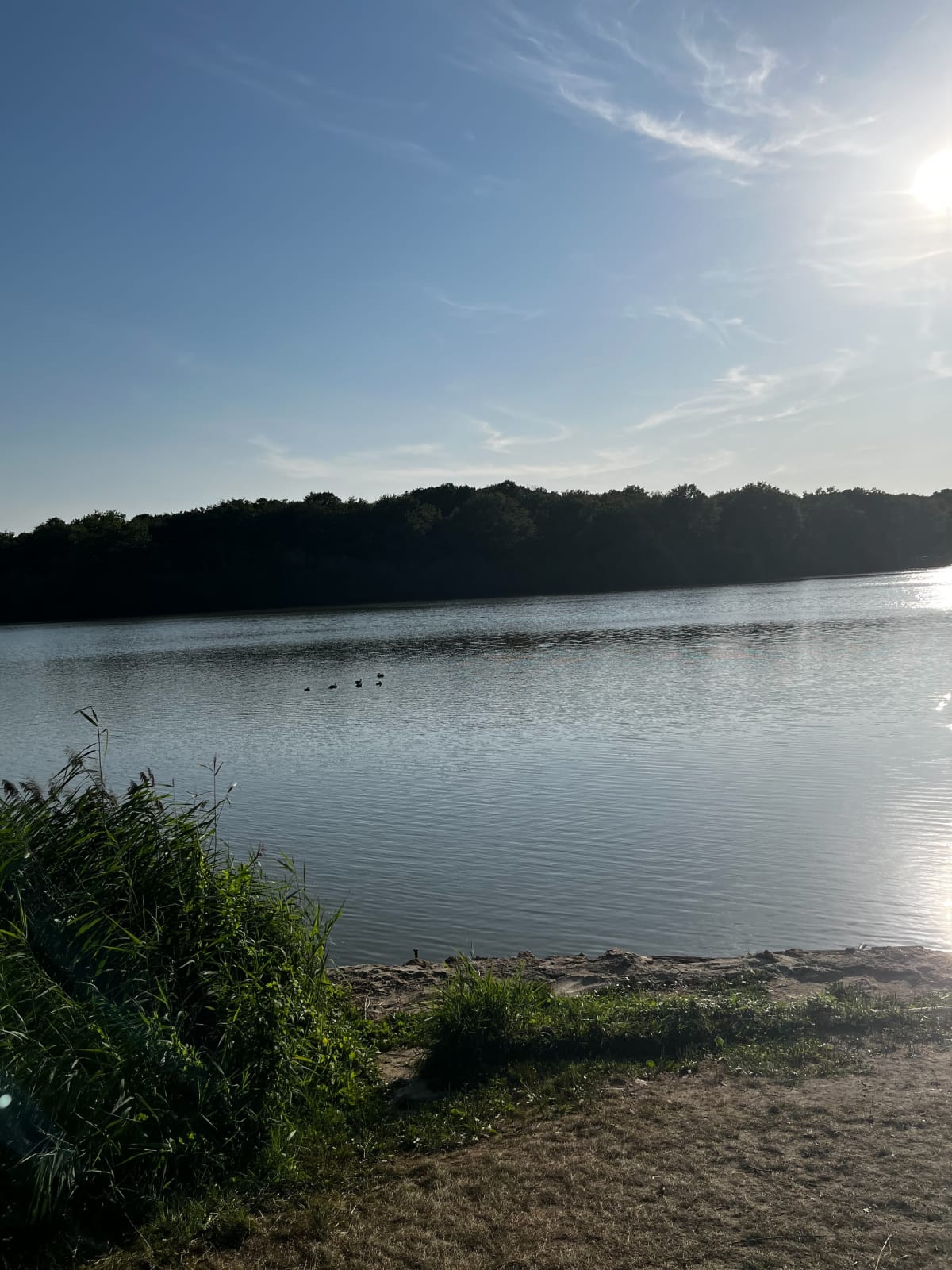Balade à l’étang d’or à La Clairière - Rambouillet