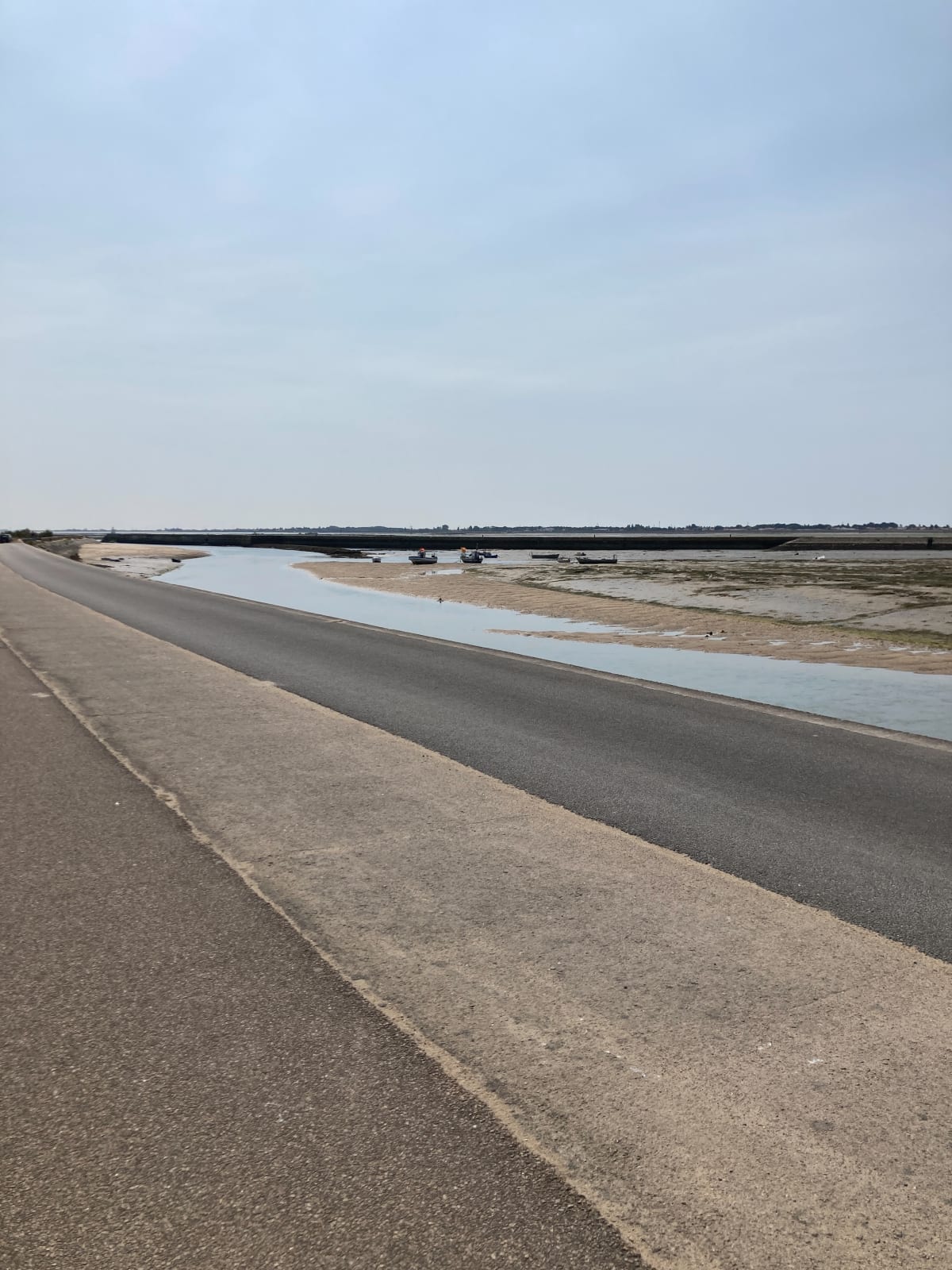 Noirmoutier et sa Réserve naturelle des marais de Müllembourg - Noirmoutier-en-l'Île