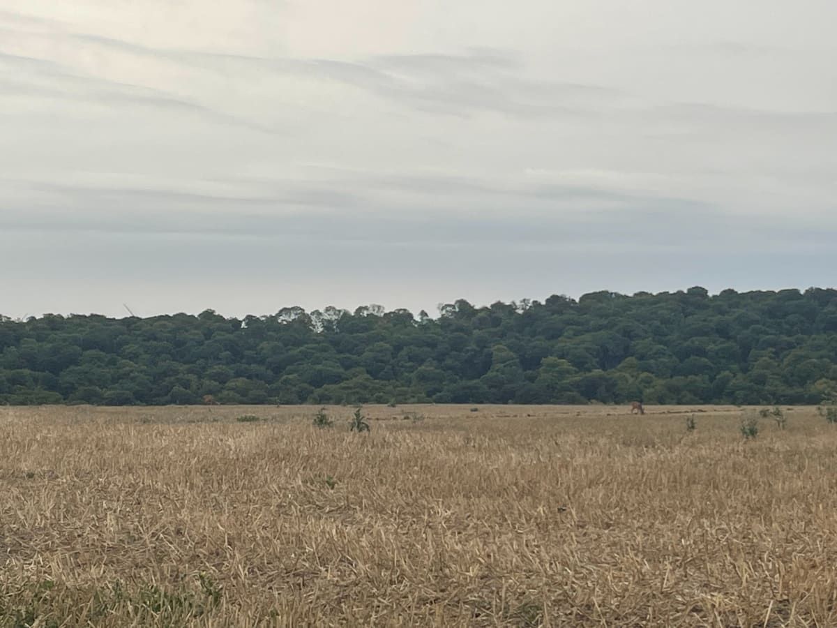 Chemins vers Conteville - Choqueuse-les-Bénards