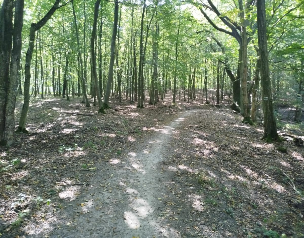 12km z targowiska do j.Brzostek przy orlenie powrót - Pobiedziska