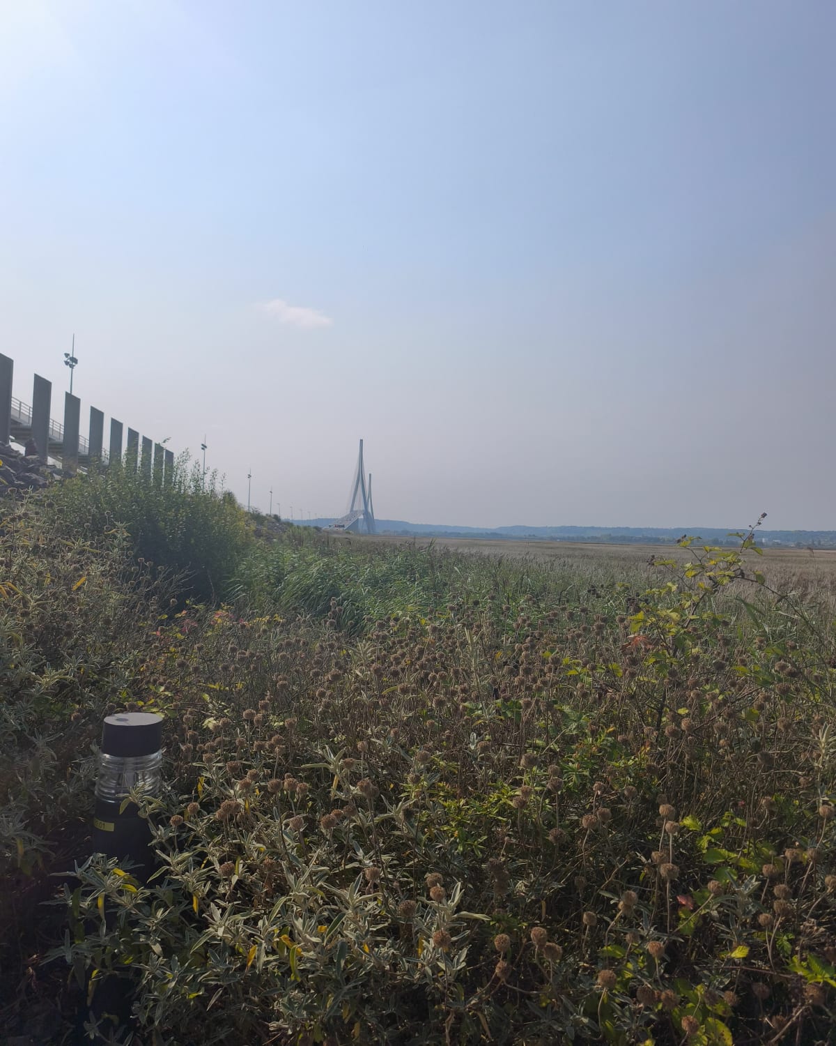 Soquence - Pont de Normandie - Le Havre