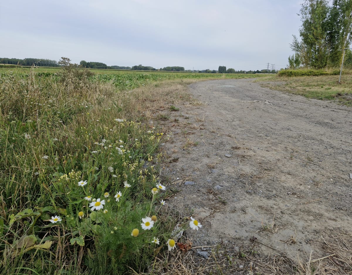 Vers Pont-à-Marcq par la voie verte et autres voies - Avelin
