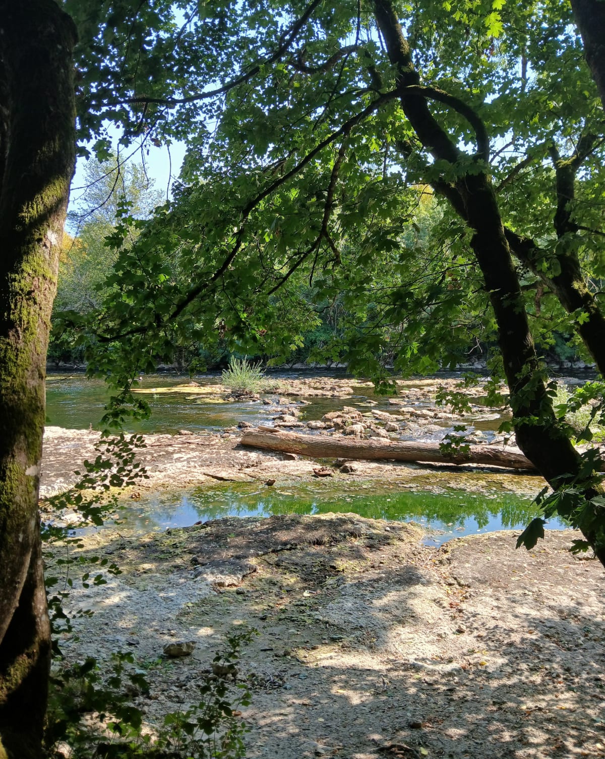 Entre rivière et forêt autour de Vierzon - Vierzon