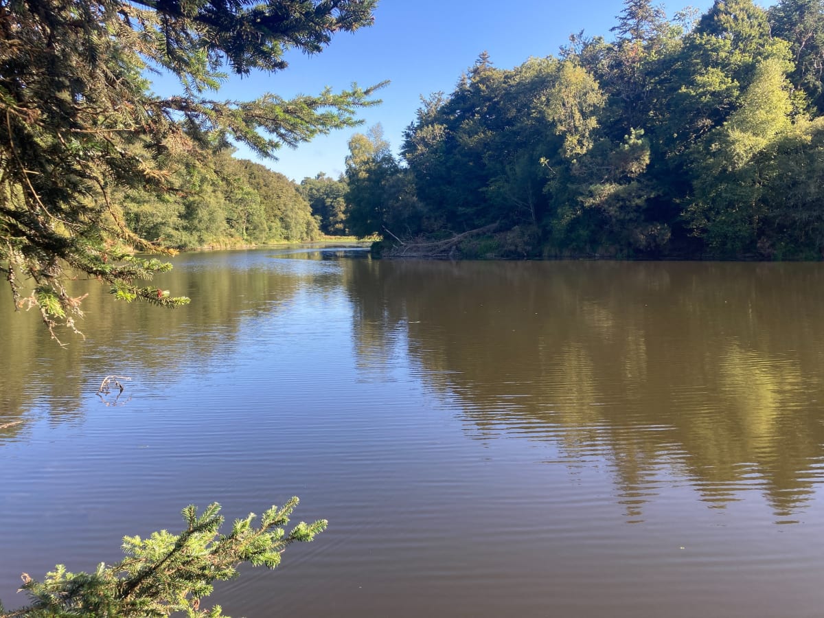Bois de Tremelin et île de Locastel - Inzinzac-Lochrist