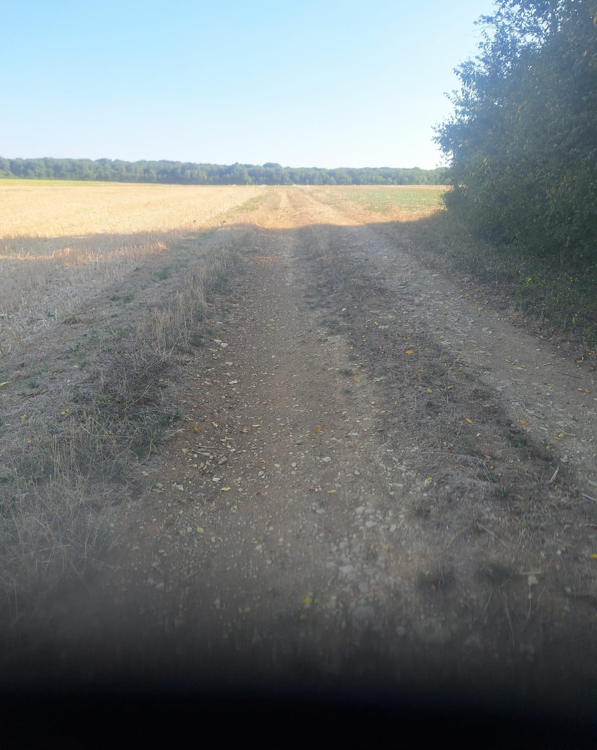 Benon par forêt - Benon