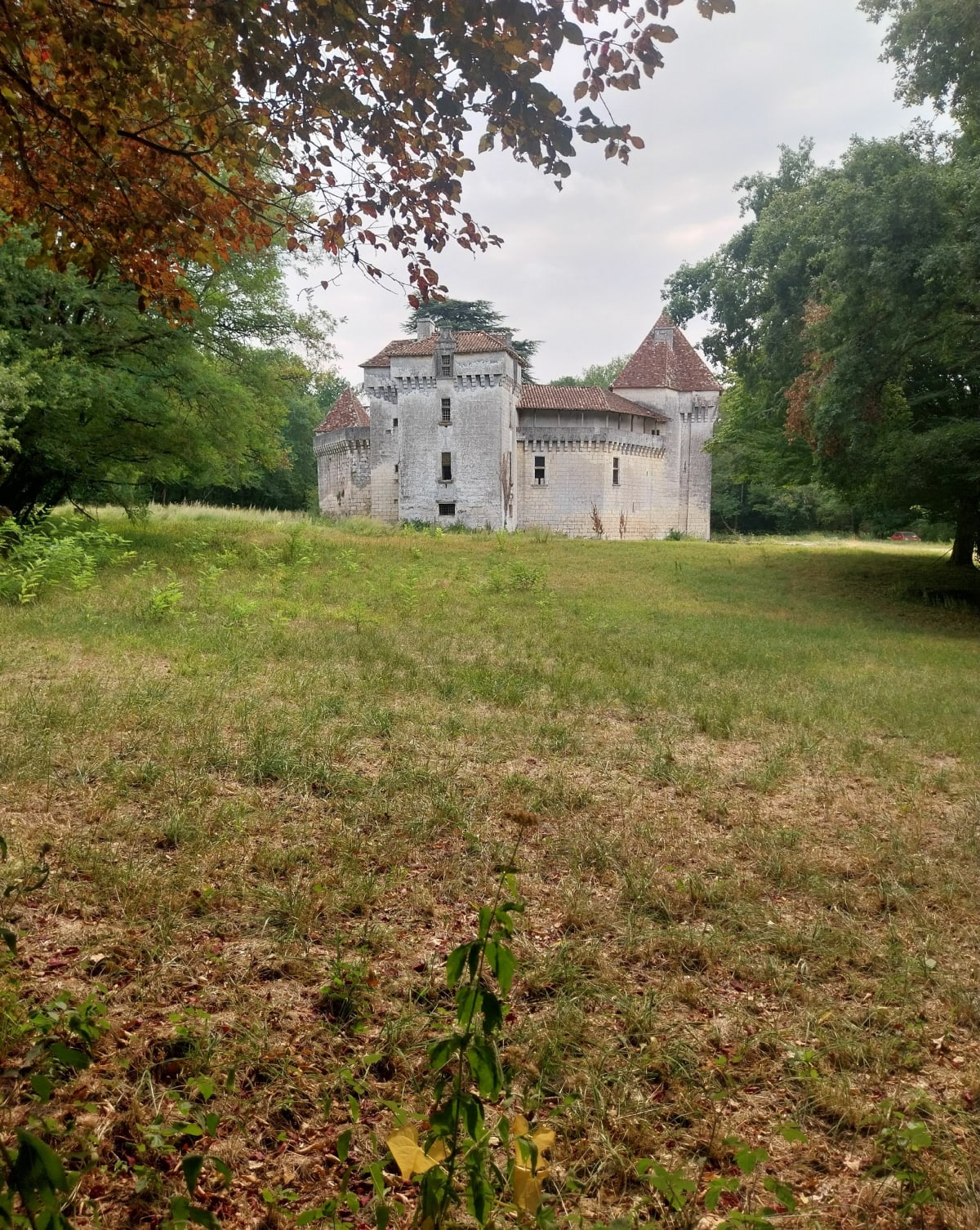 Au cœur de la forêt près de Lac Ladoux - Antonne-et-Trigonant
