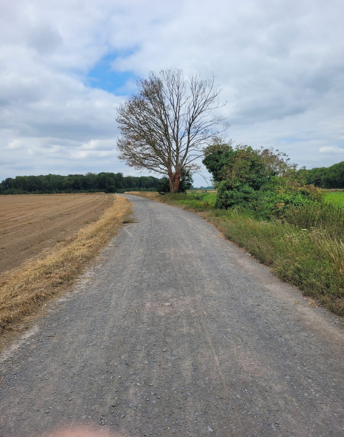 Balade autour de Seclin - Seclin