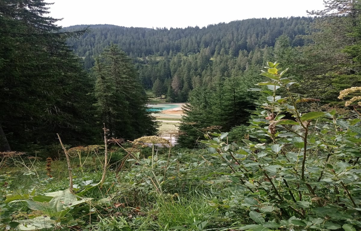 Du lac des Rosieres à l'abri du Bec de l'Aigle - anne