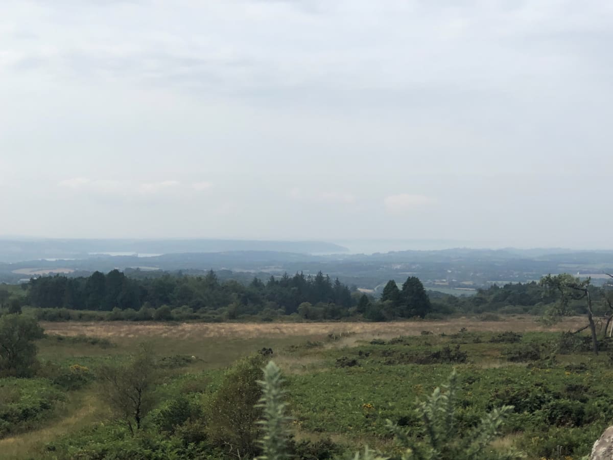 Parcours forestier au domaine de Menez Meur - Hanvec