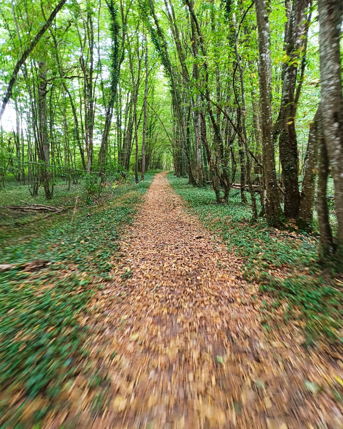 Gravel entre Farges-lès-Chalon et Saint Loup Géange - Farges-lès-Chalon