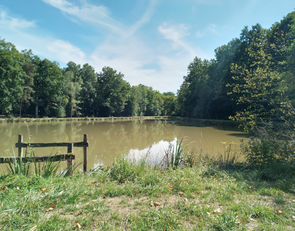 Tour des étangs de Lignières - Lignières