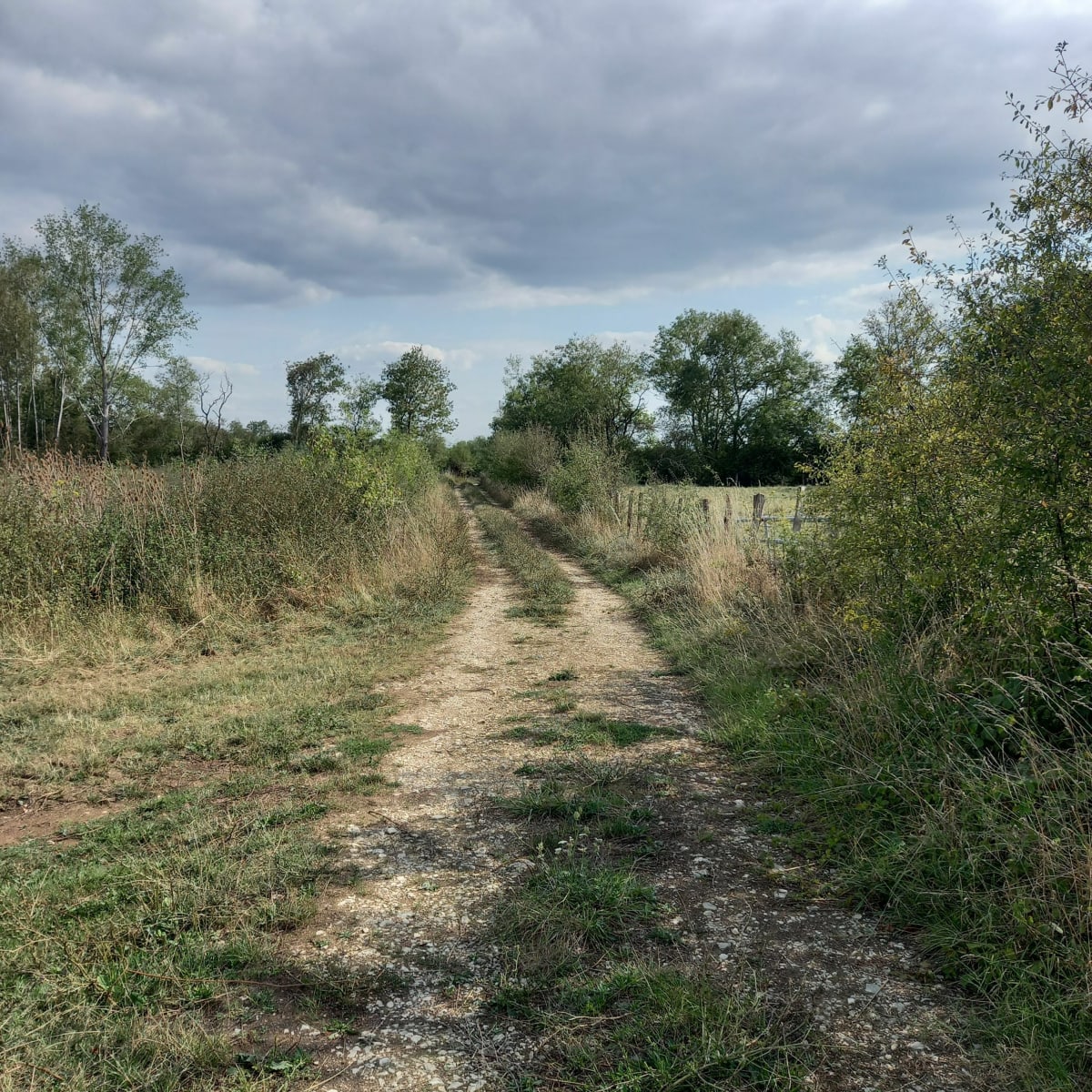 Balade autour d'Ouroux sur Saône - Ouroux-sur-Saône