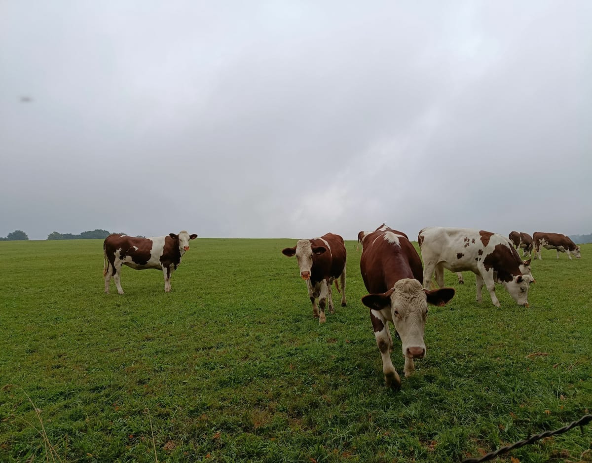 Sur les hauteurs de Montbouton - Montbouton