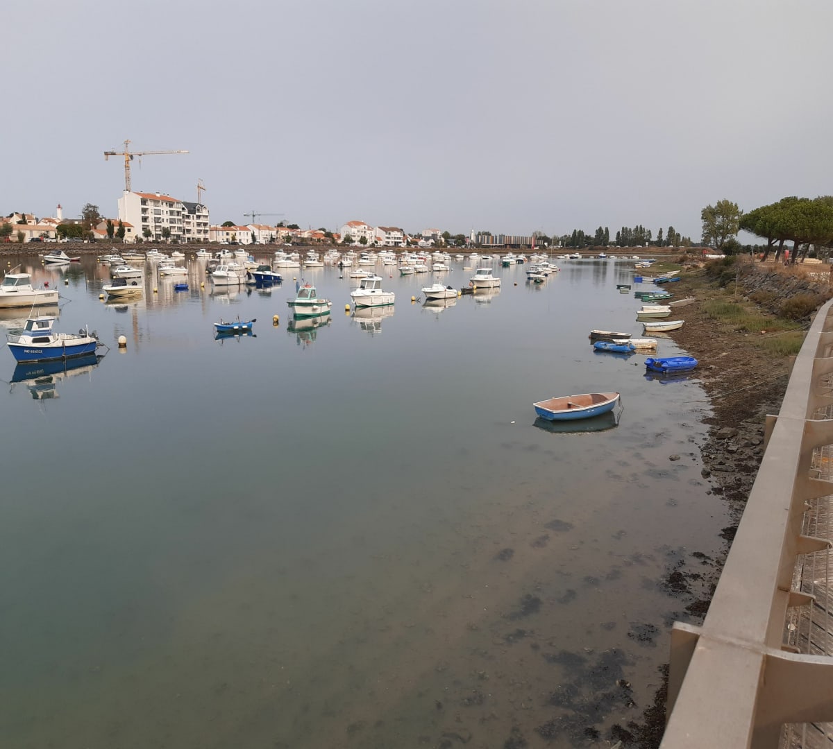 Balade au port, marais salants entre Saint-Gilles et Saint-Hilaire - Saint-Gilles-Croix-de-Vie