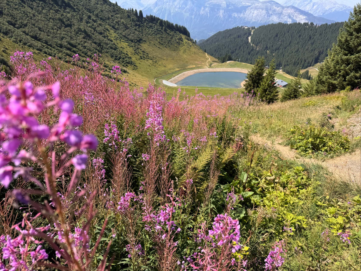 Lac de l'Airon depuis Les Carroz - Arâches-la-Frasse